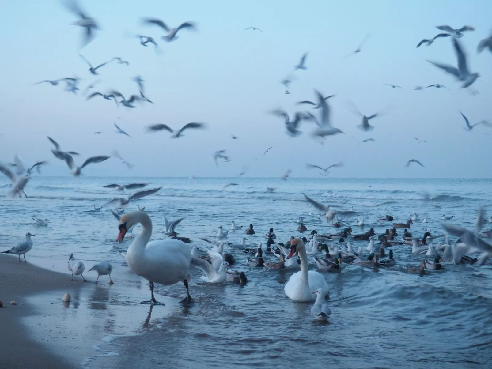 Wohnung in Brzeźno mit Großem Garten-Buiten