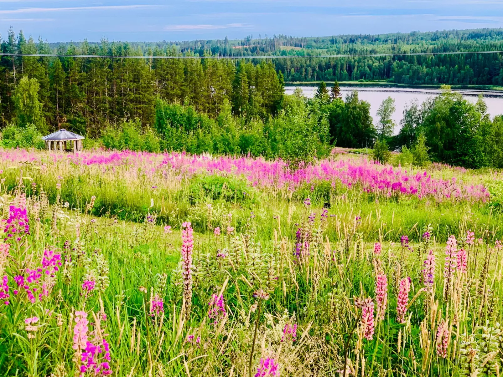 Ferienvilla mit Whirlpool - Buiten