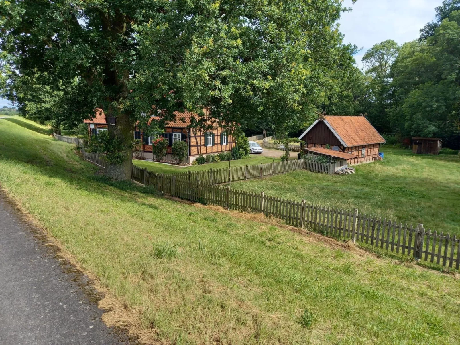 Haus Elbrose inmitten von Rosen mit Elbdeichzugang-Buiten