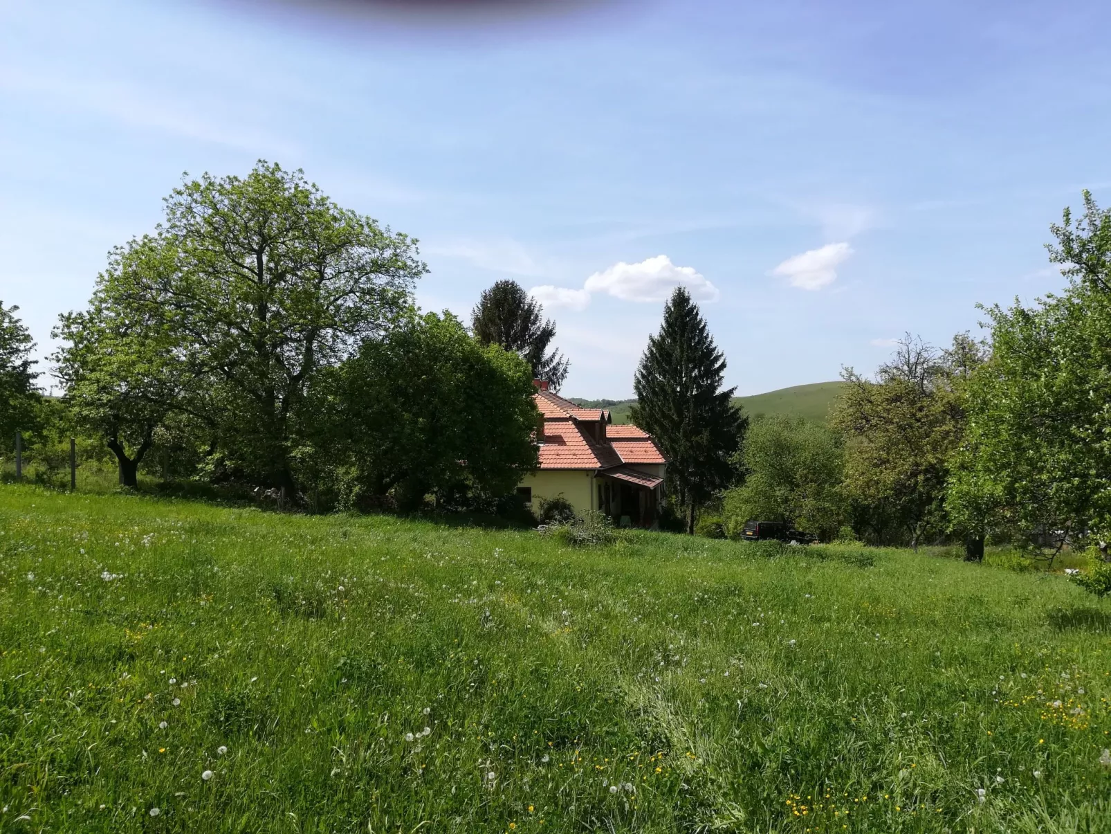 Mit biologischem Schwimmteich