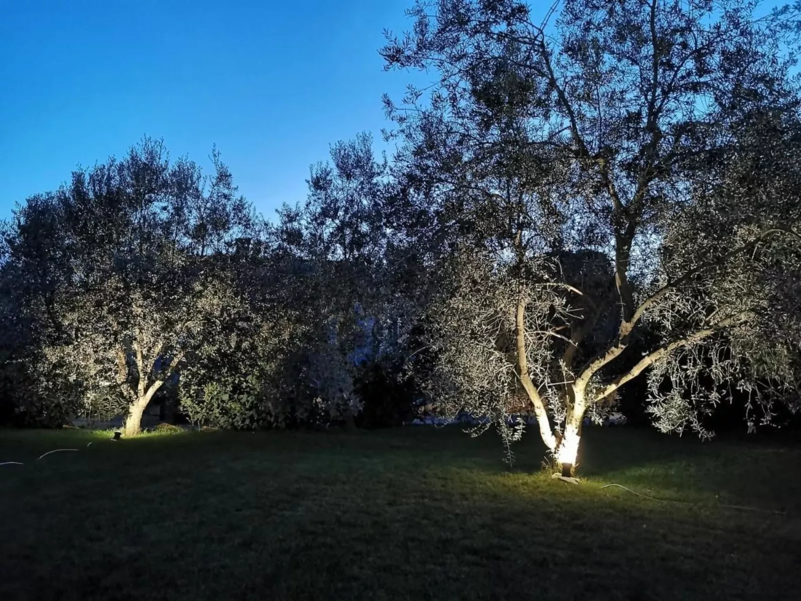 Ferienvilla mit eigenem Garten und Grill-Buiten