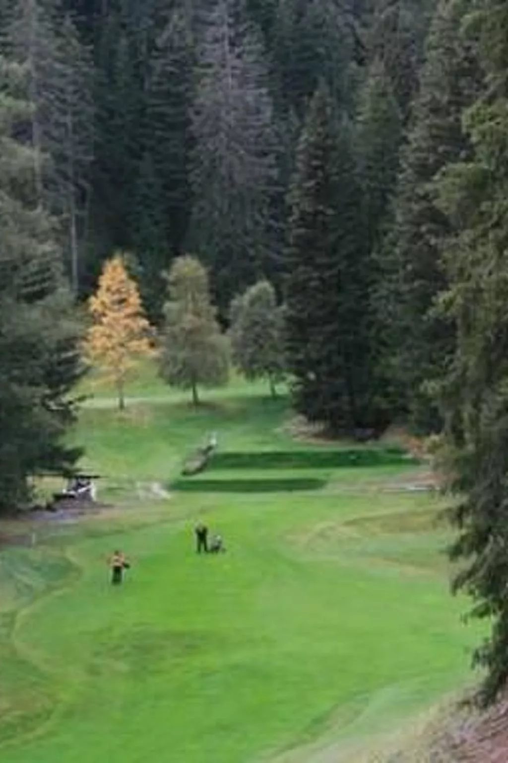 Alte typische Engadinermühle-Buiten