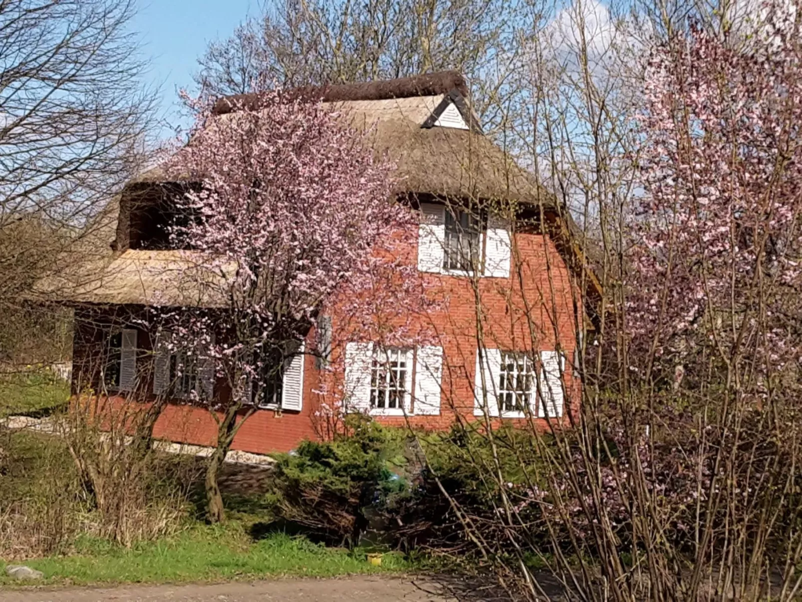 Idyllisches Reetdachhaus mit großem Garten