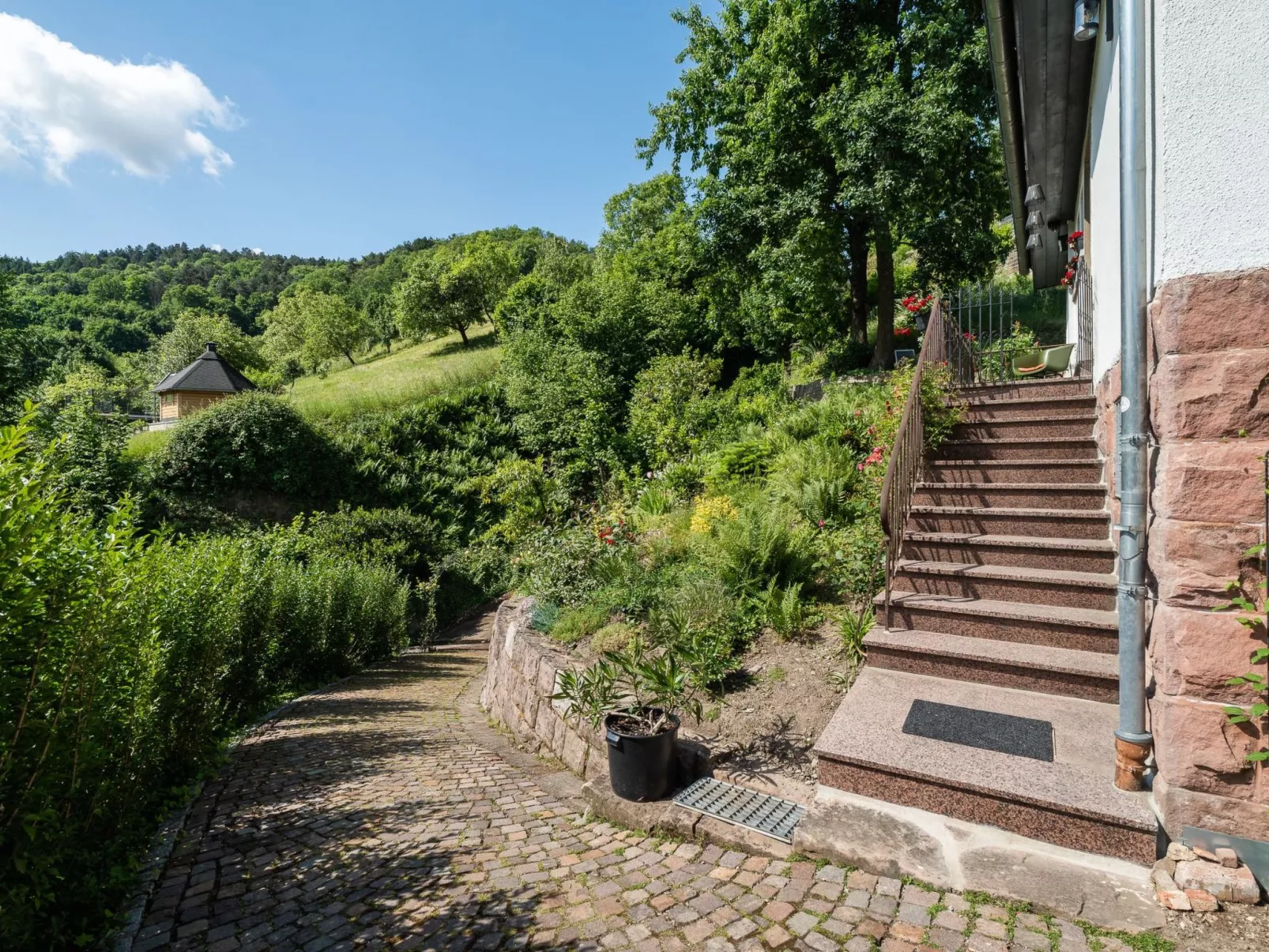 Schwarzwald Königin-Buiten