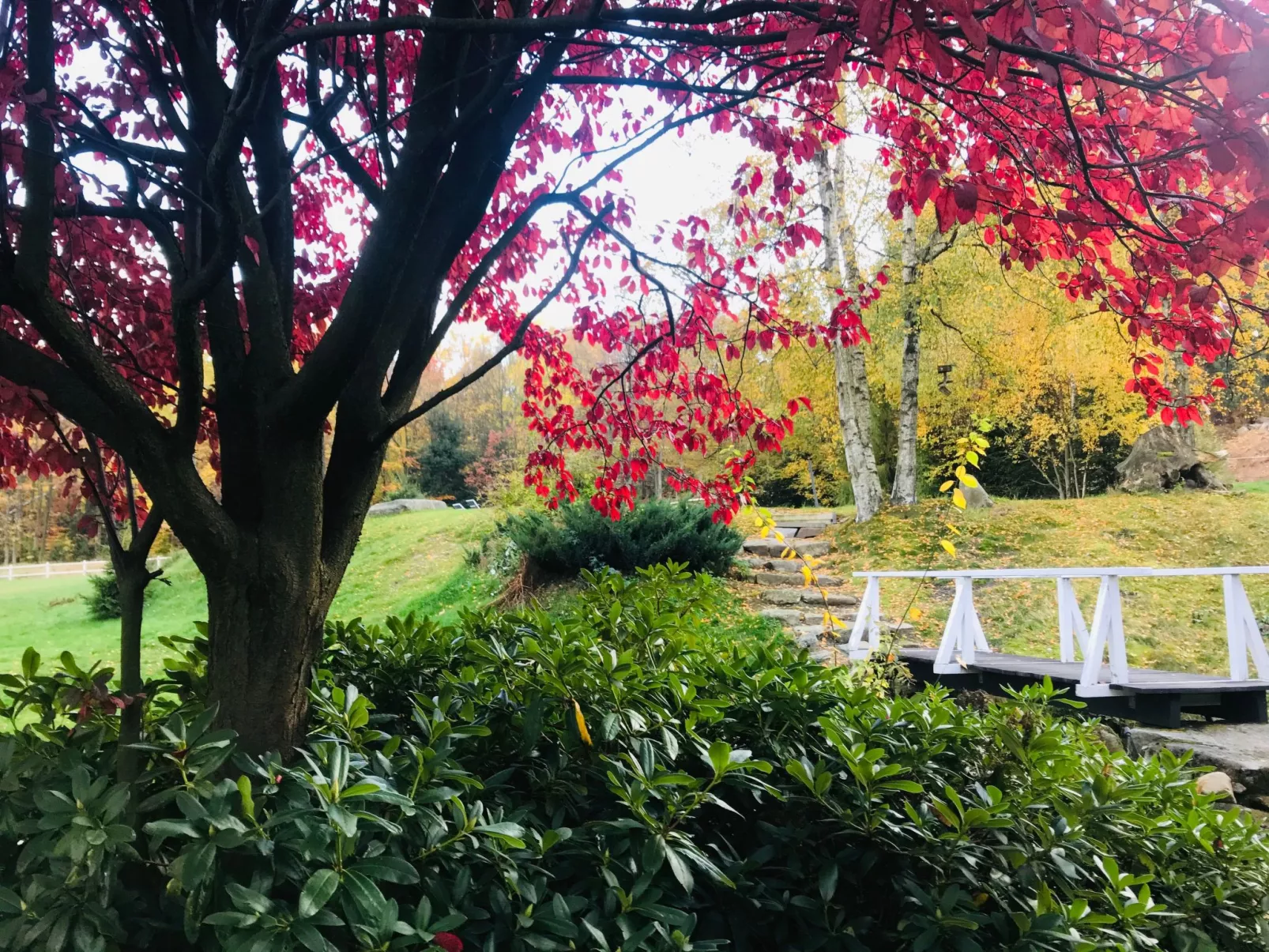 Exklusives Ferienhaus mit Schwimmbad direkt am Wasser-Buiten