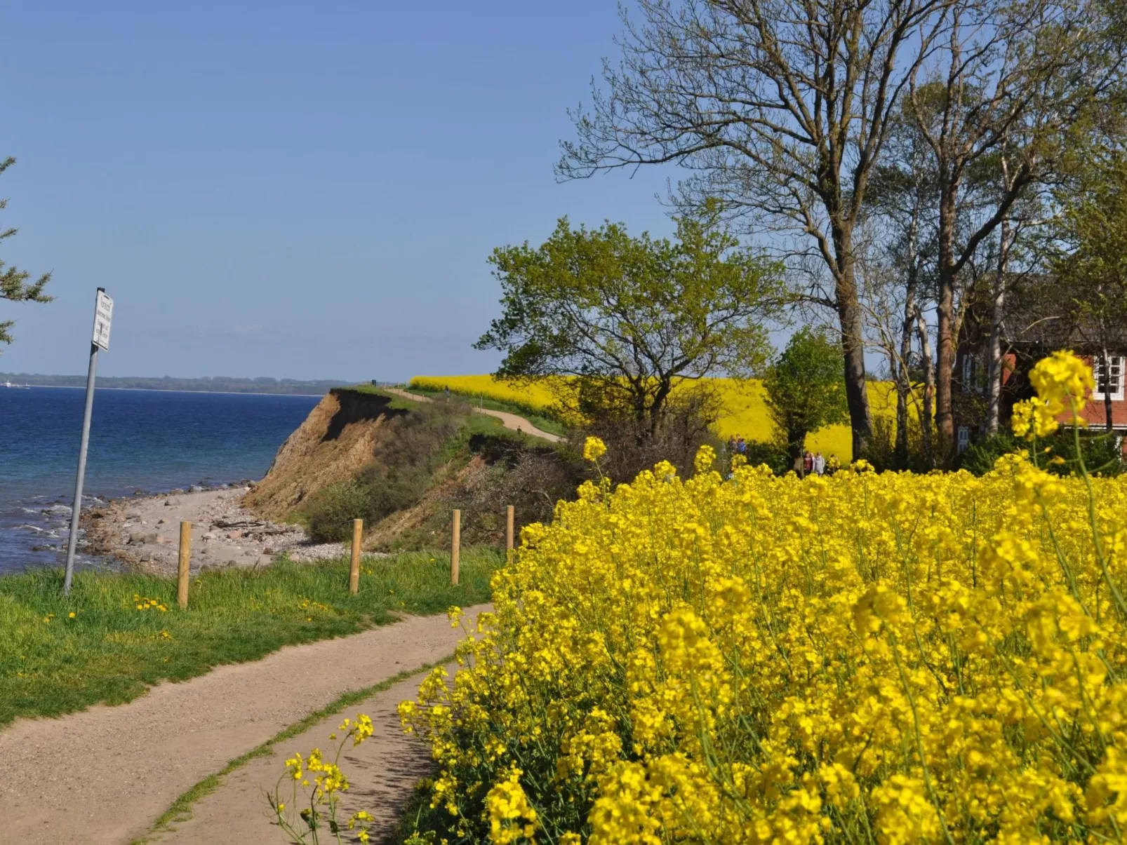 ToSi - 35 Meter zum tosenden Meer-Buiten