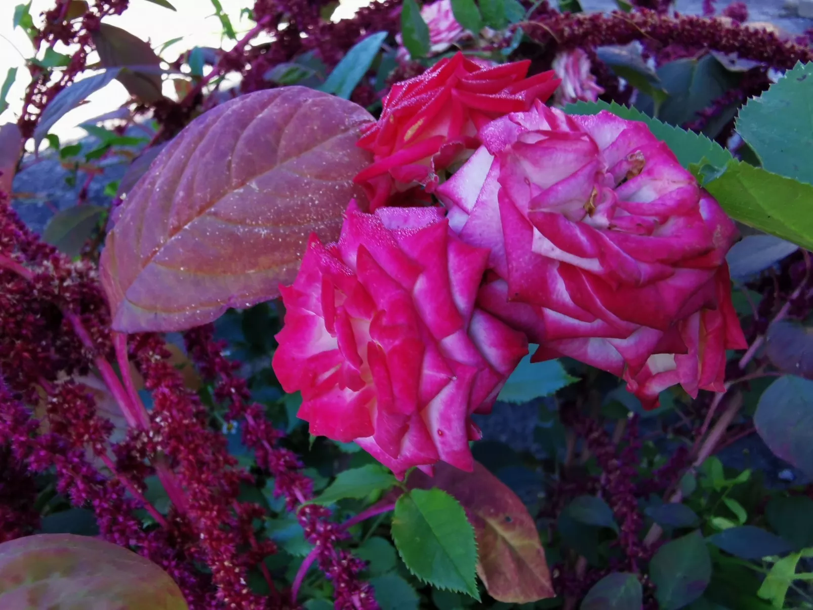 Für 4 Personen ca. 65 m&sup2; in Brod Moravice, Gespanschaft Primorje-Gorski (G-Buiten