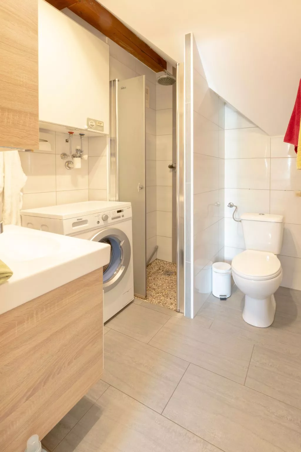 Erle in Feistritz im Rosental-Binnen