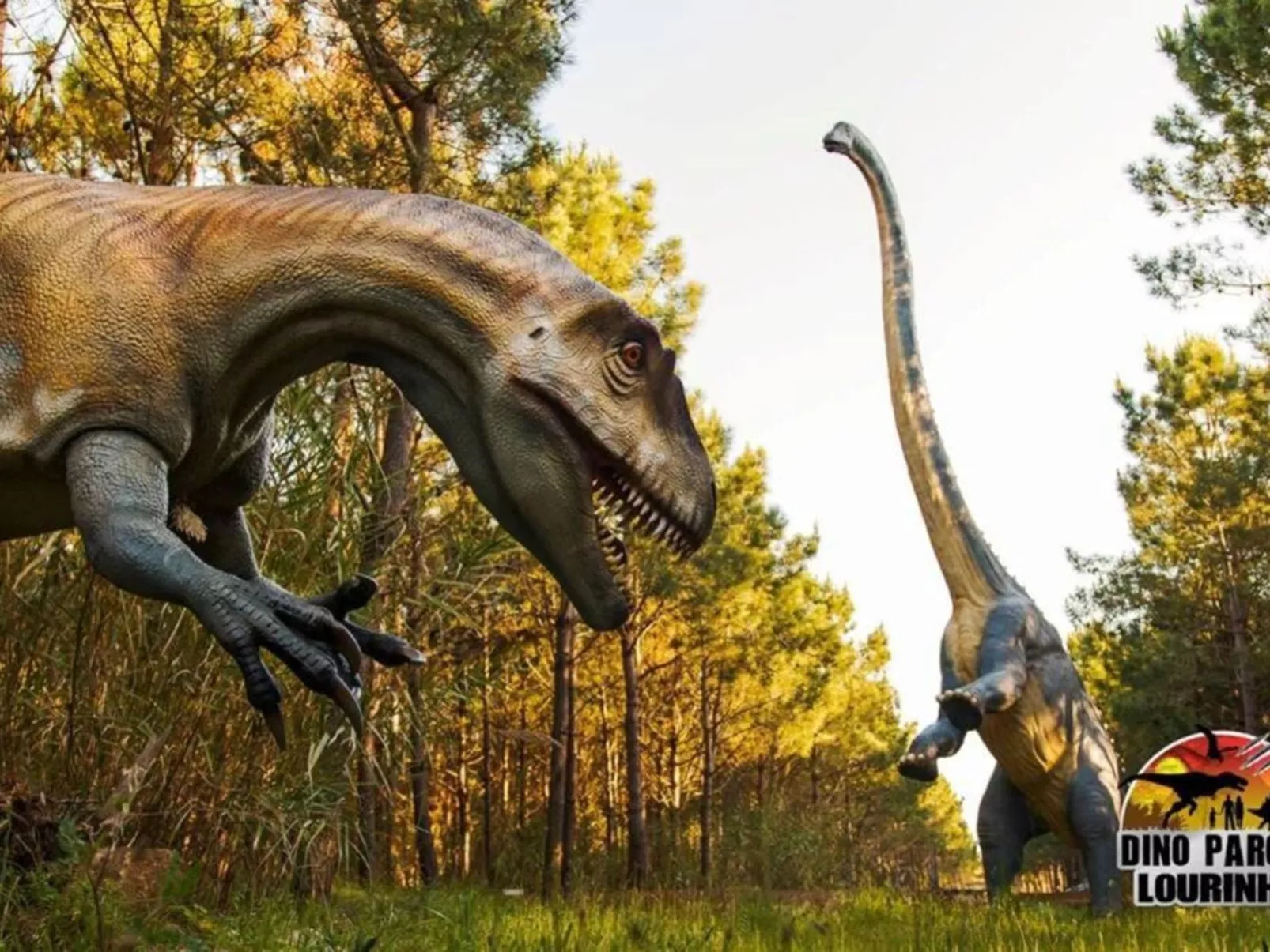 Der Sonnenuntergangs-Spot-Image-tags.info