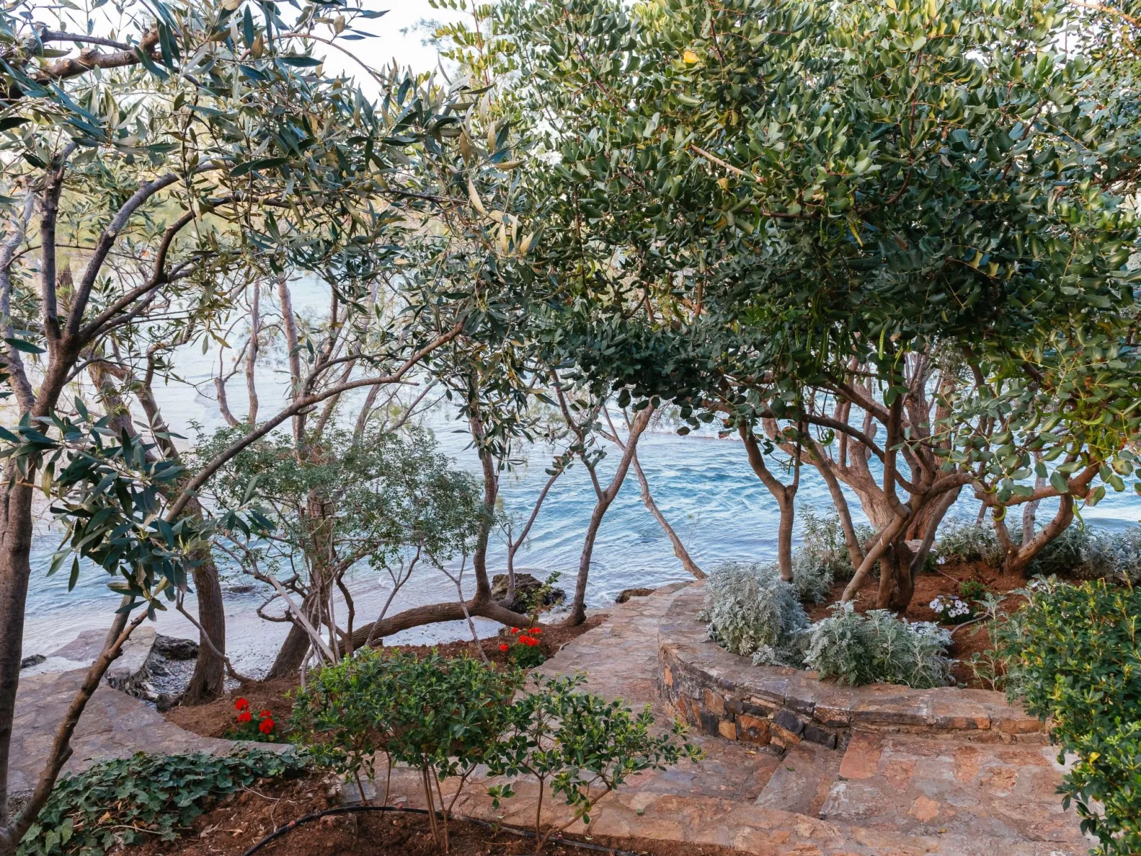 Agios Nikolaos Strand Villa-Buiten