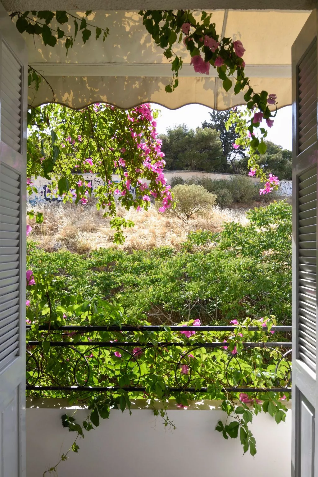 Wohnung "Bougainvillea" mit Balkon-Buiten