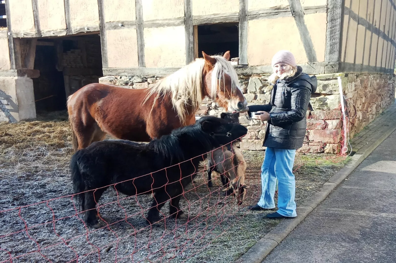 Am Ferienbauernhof - FW 6 und 7