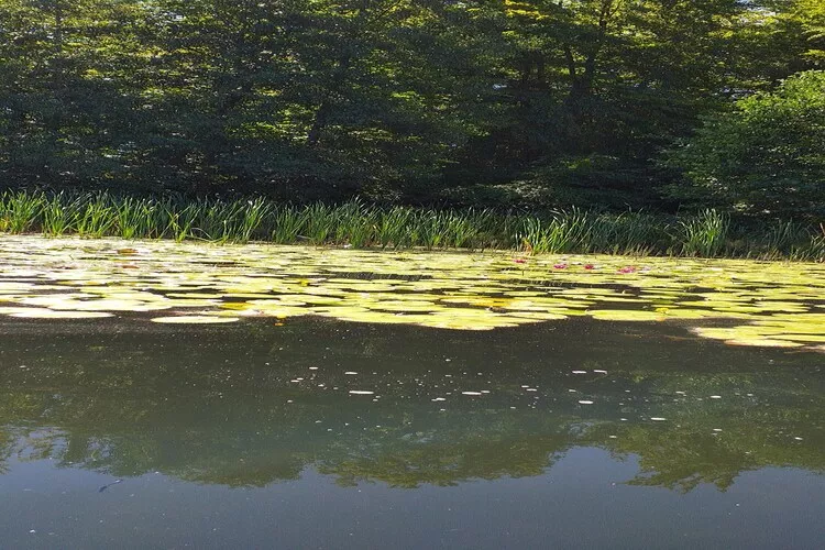 Holiday home Parchowo-Gebieden zomer 1km