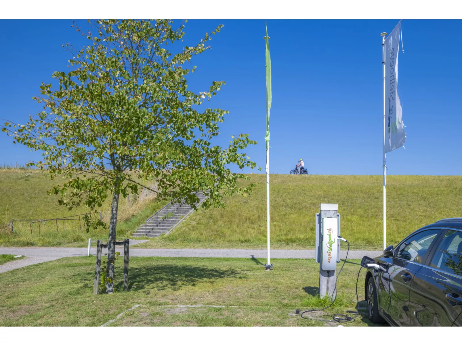 Ruisweg 34 - Image-tags.info