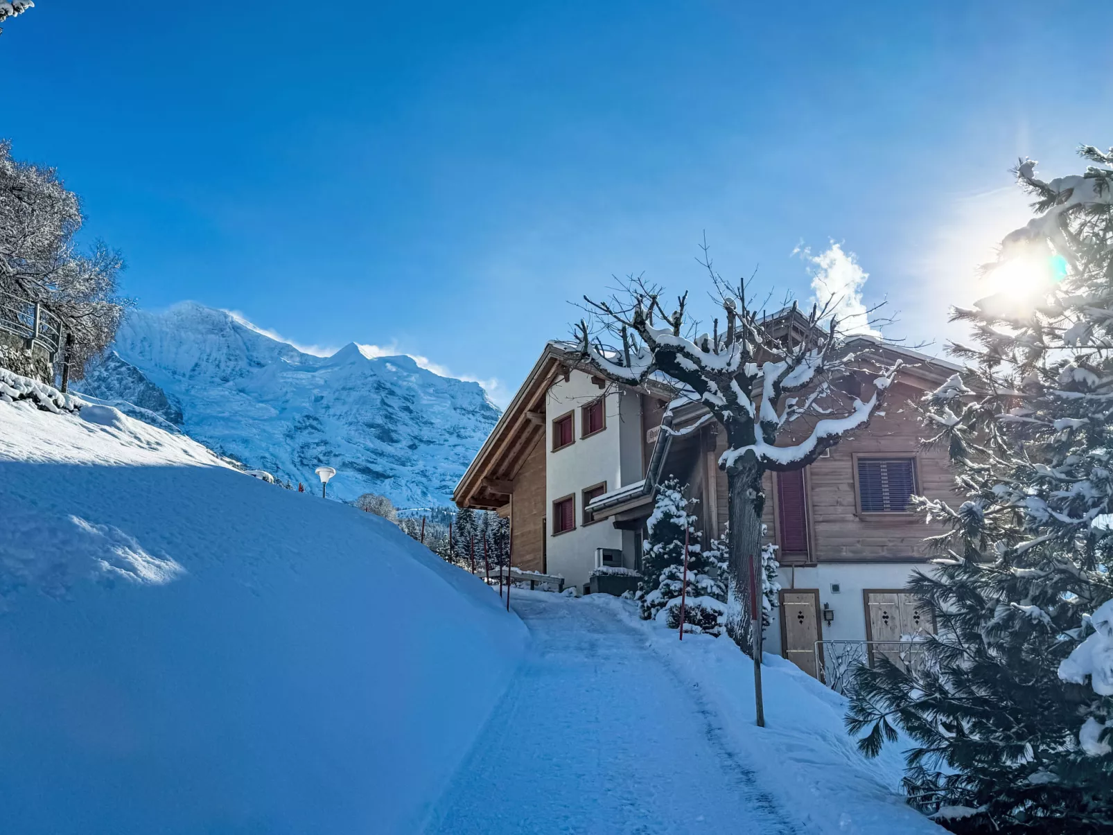 Silberhorn Apt. DW-Buiten