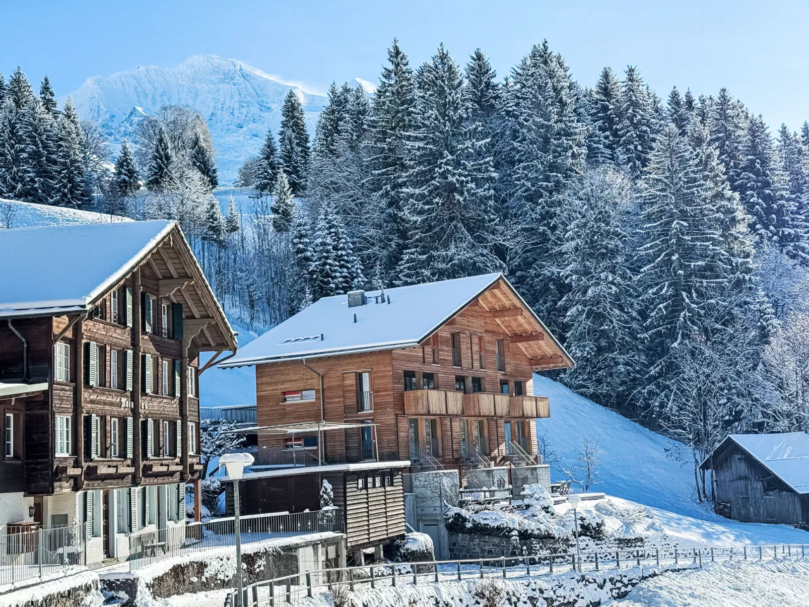 Roossi Apt. 1 - Buiten