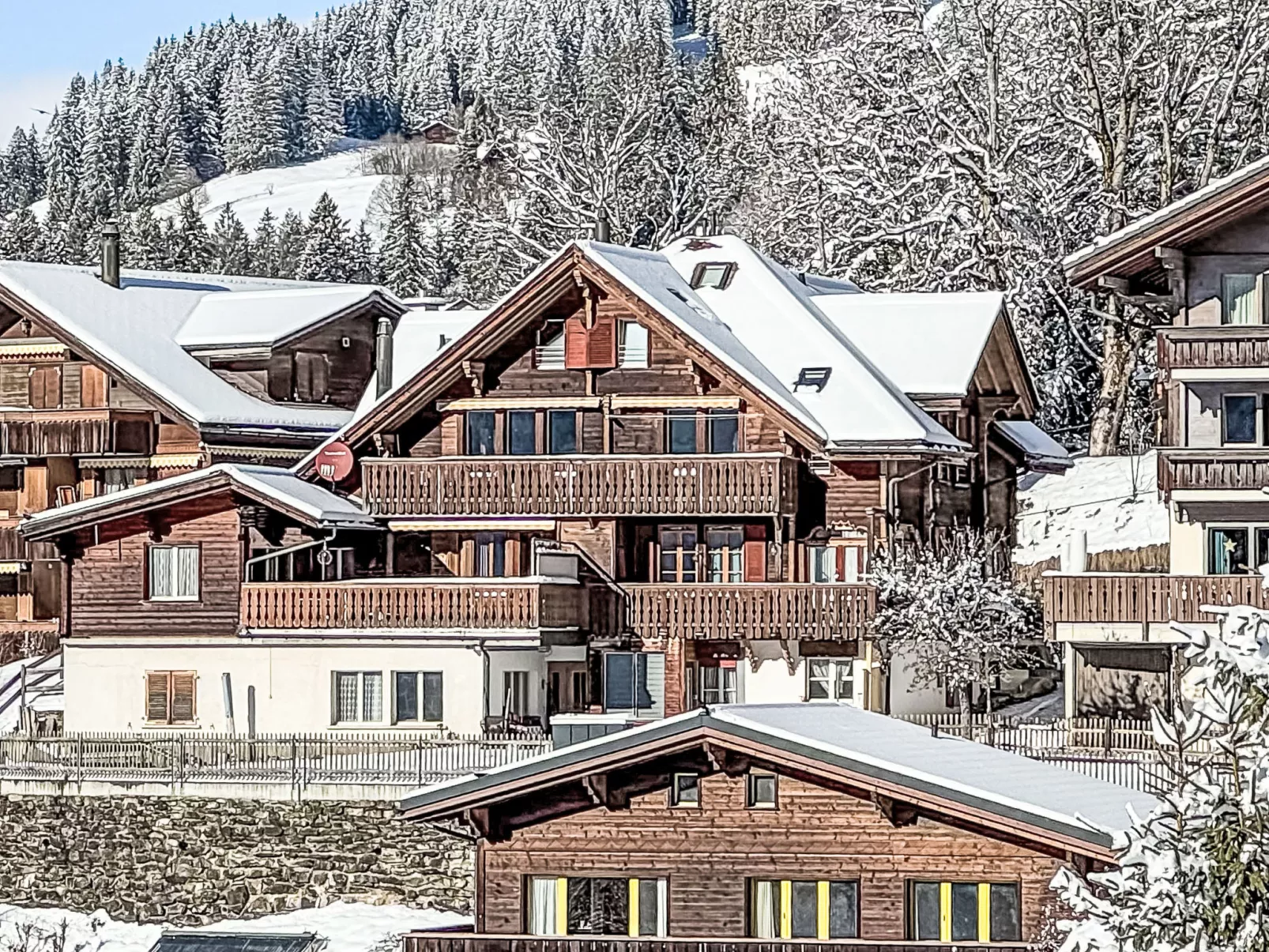 Chalet Graf Apt 1 - Buiten