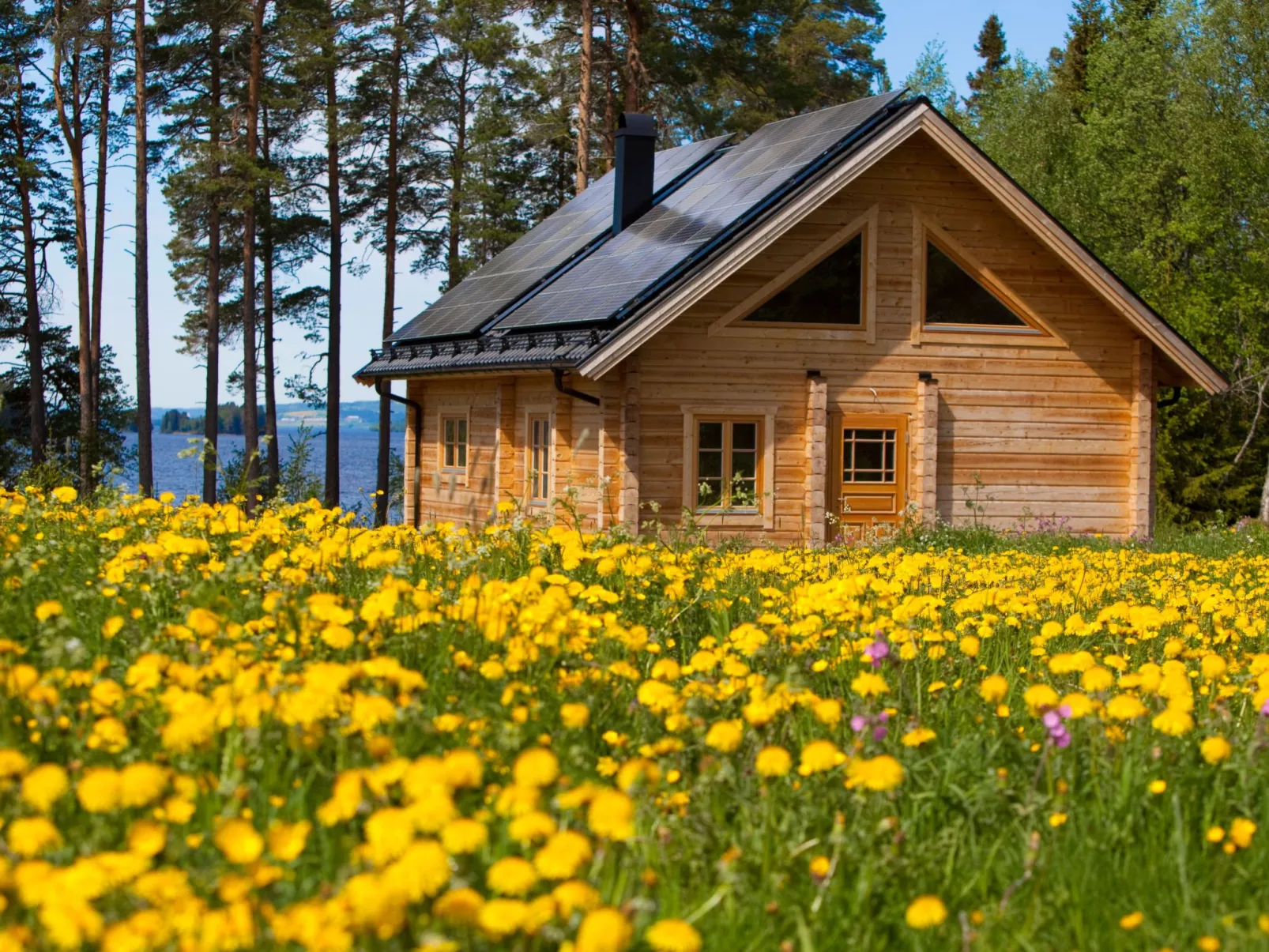 In Krokom und Seeblick