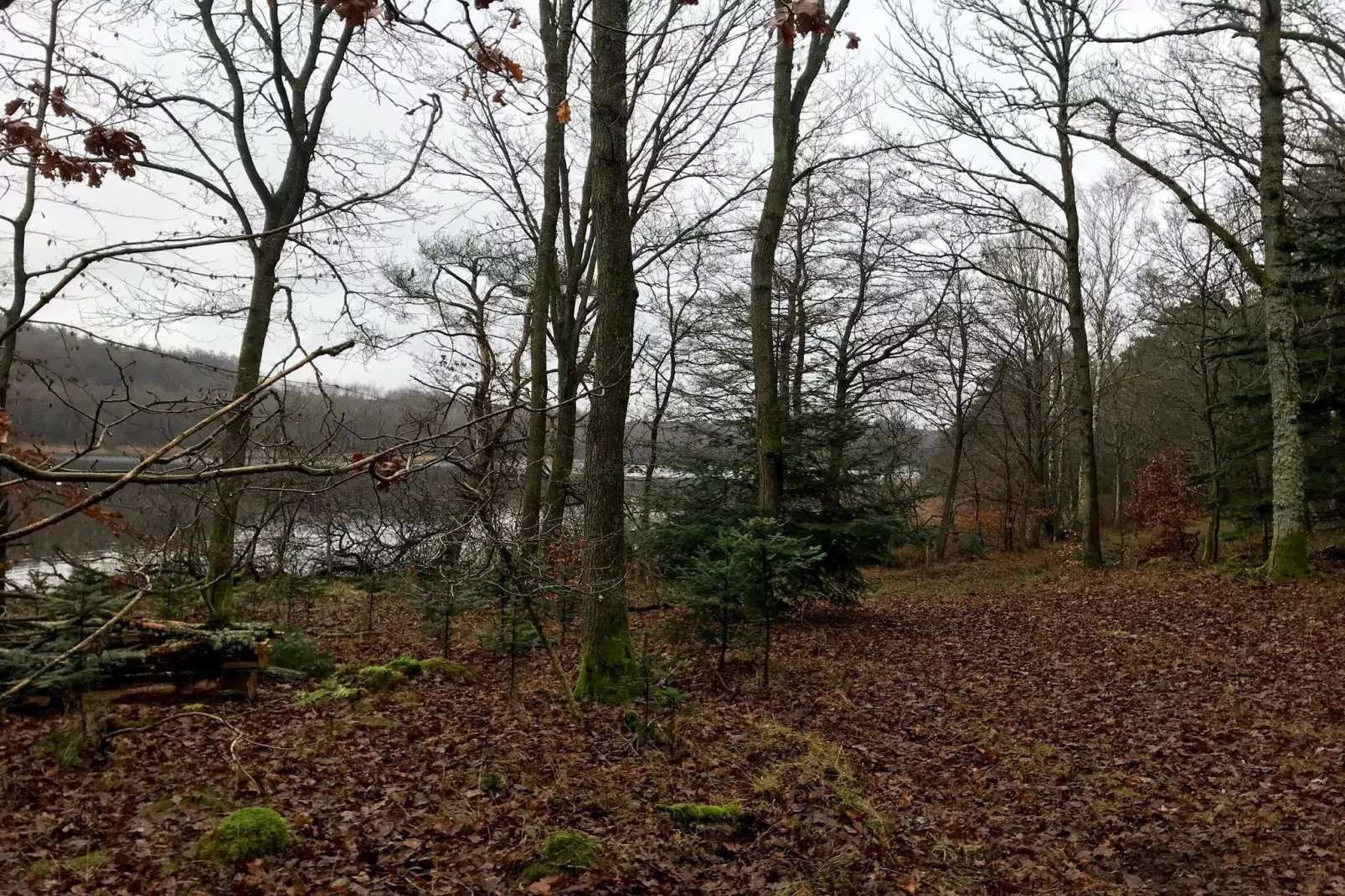 8 persoons vakantie huis in Ebeltoft