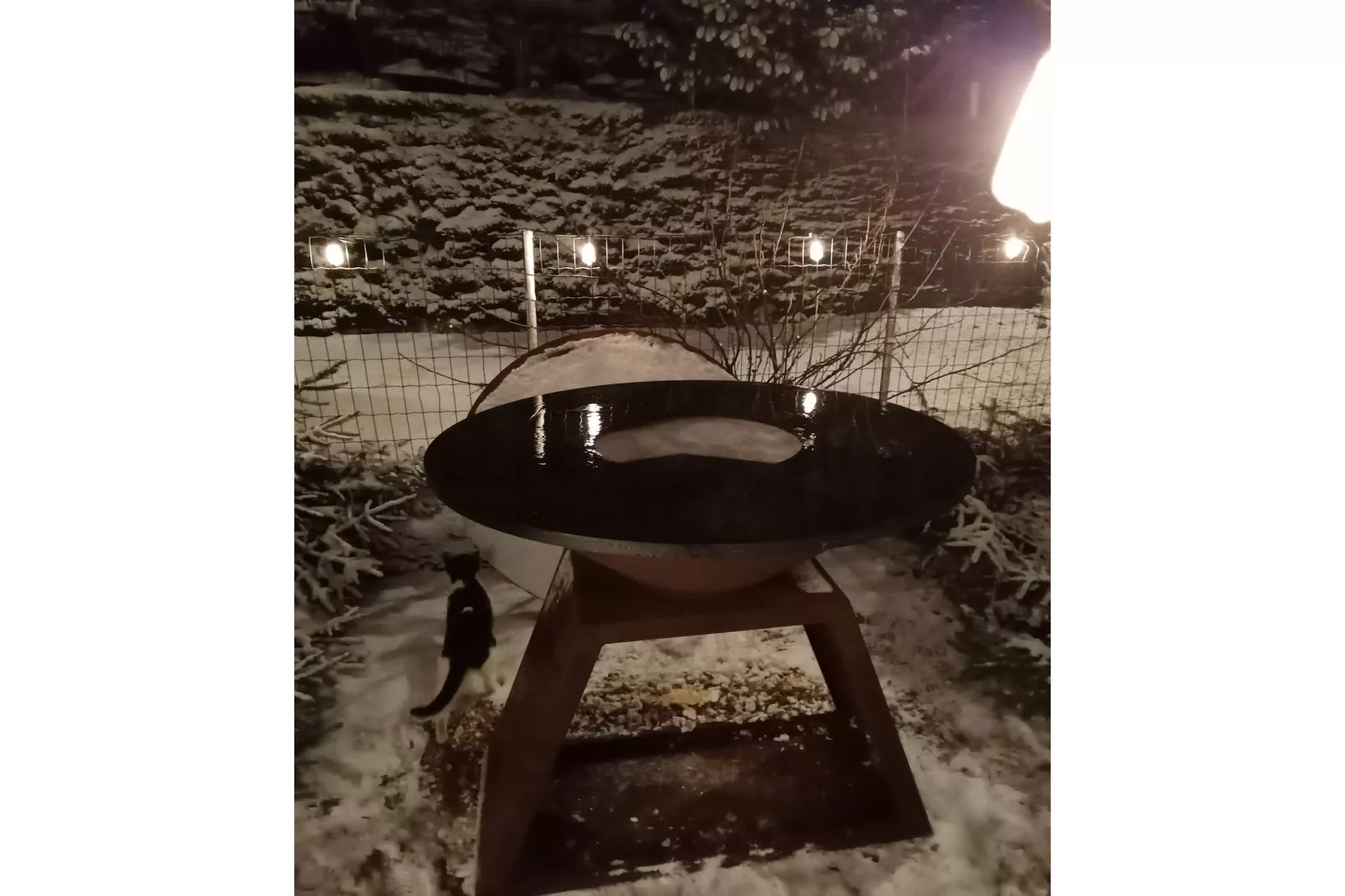 Maquis du cerf-Sfeer