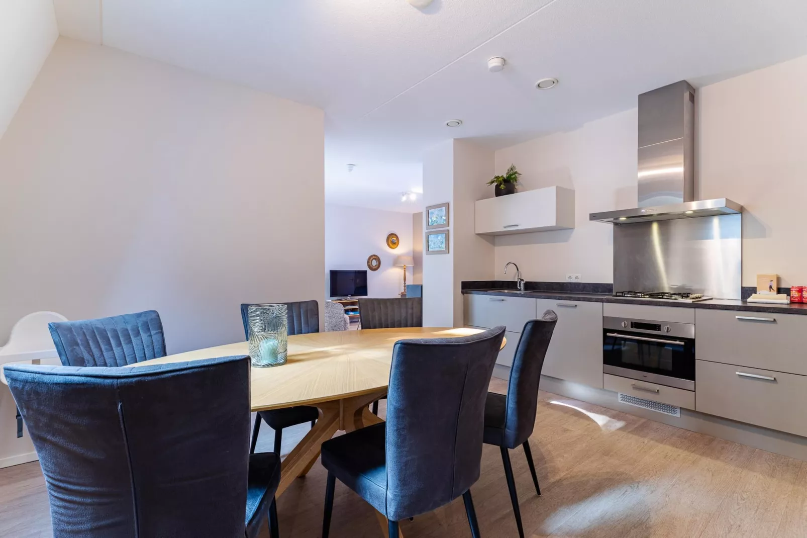 Appartement Duinhof Dishoek 13M - 6 personen de luxe