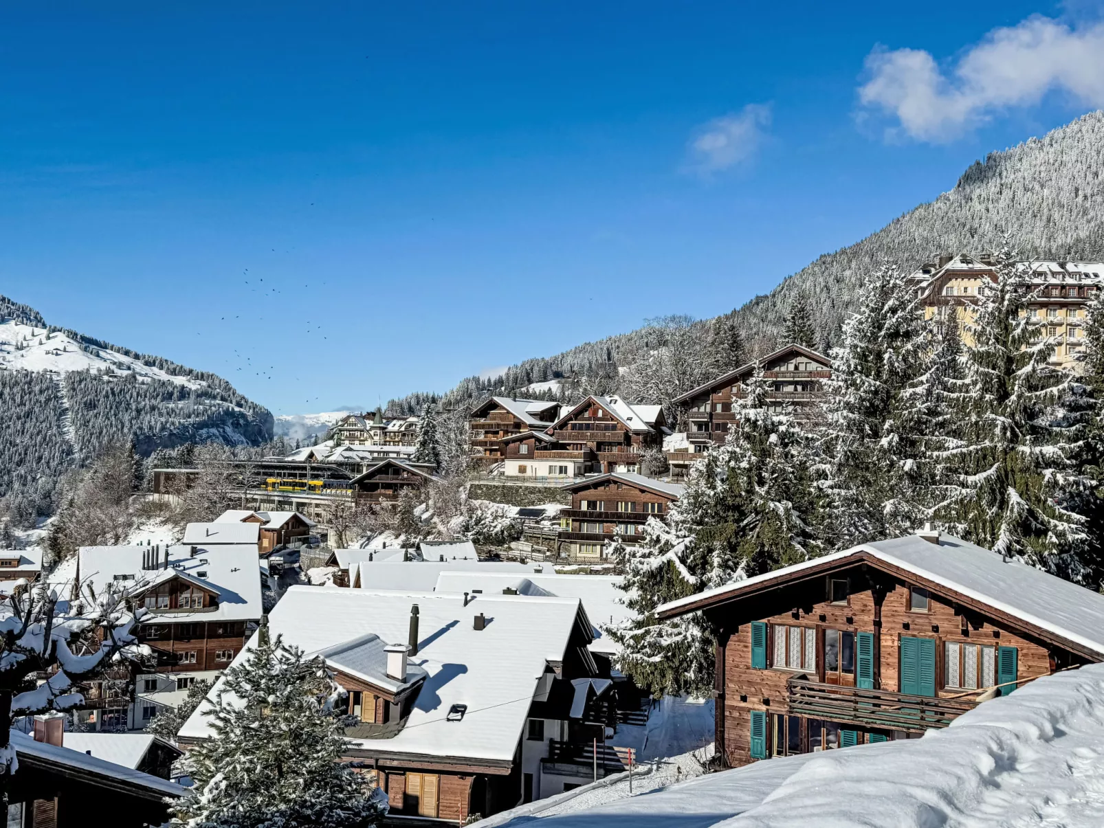 Alpina Apt. CH - Omgeving