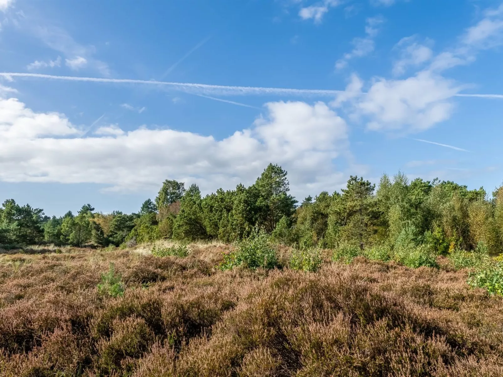 "Ertan" - 500m from the sea