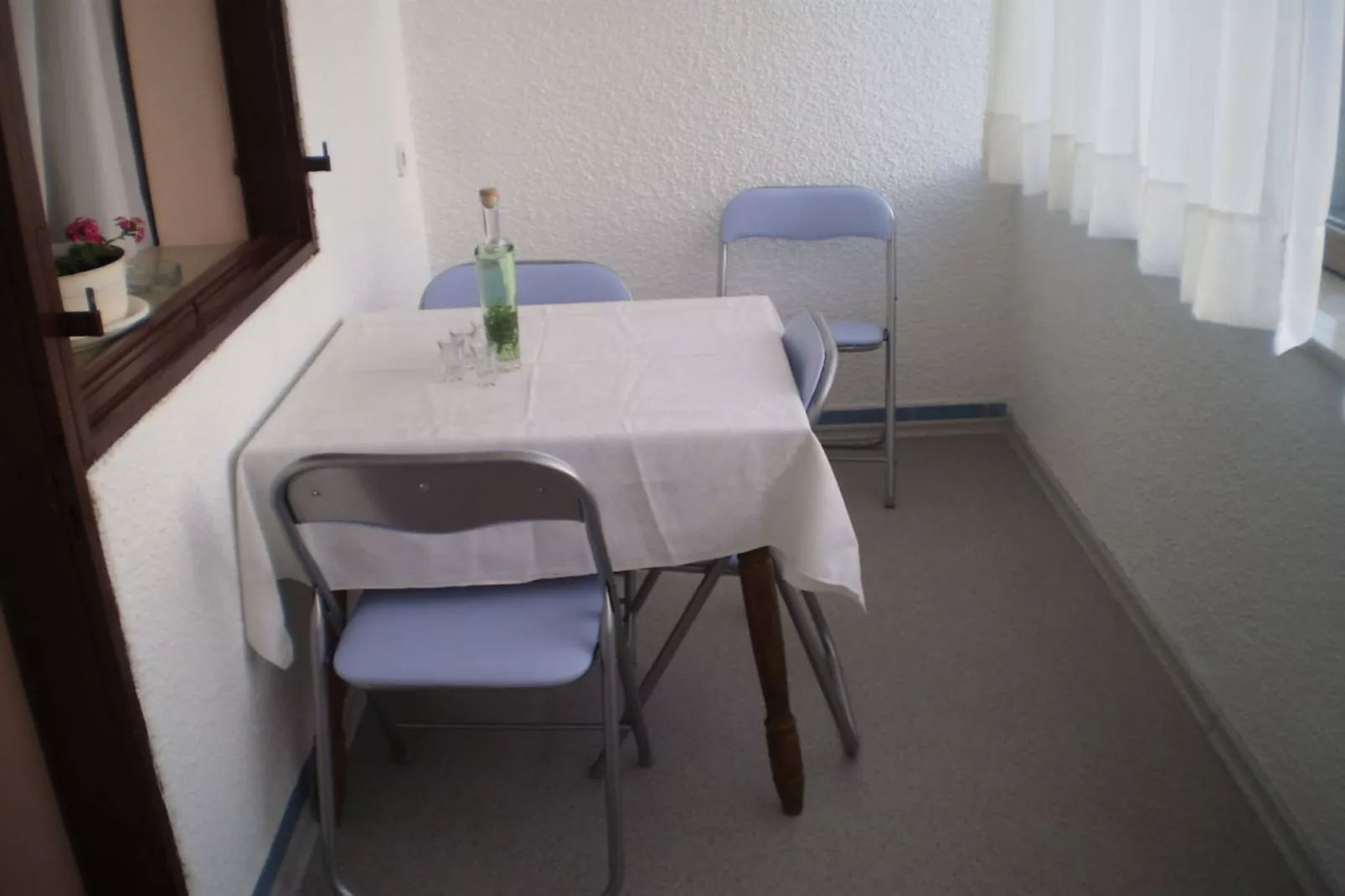 Licul Modern retreat