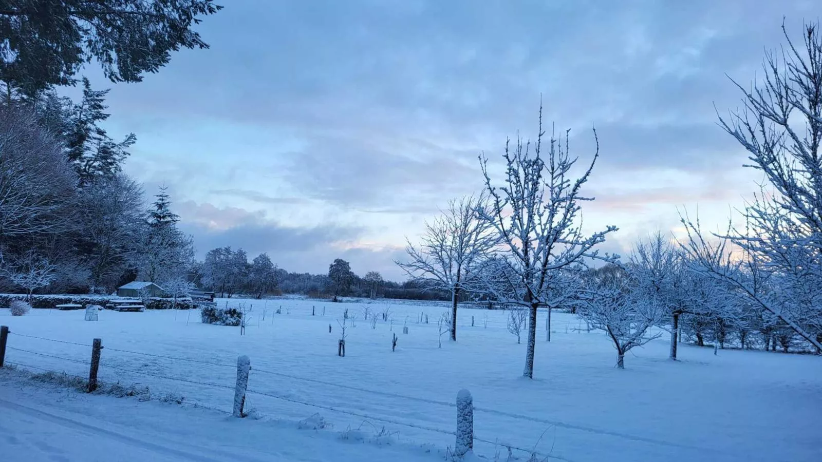 Uilenhof-Gebied winter 1km