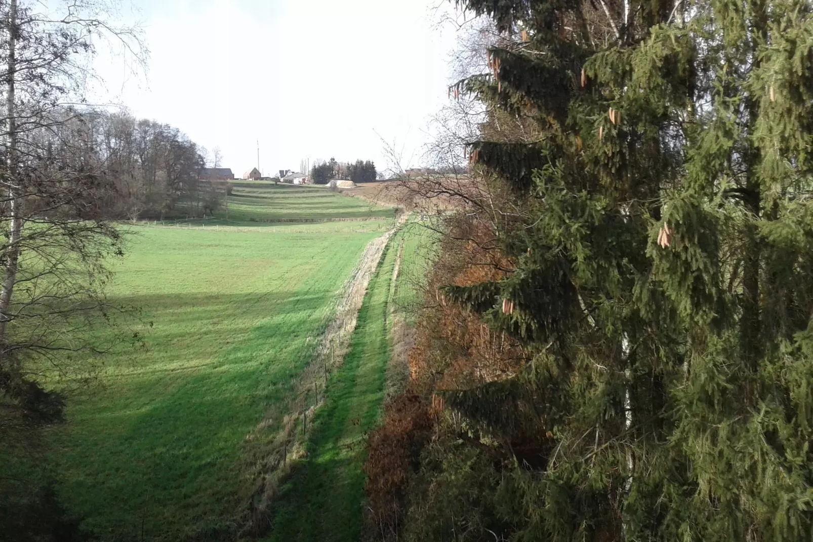 Malta 7B- First-Gebieden zomer 5km