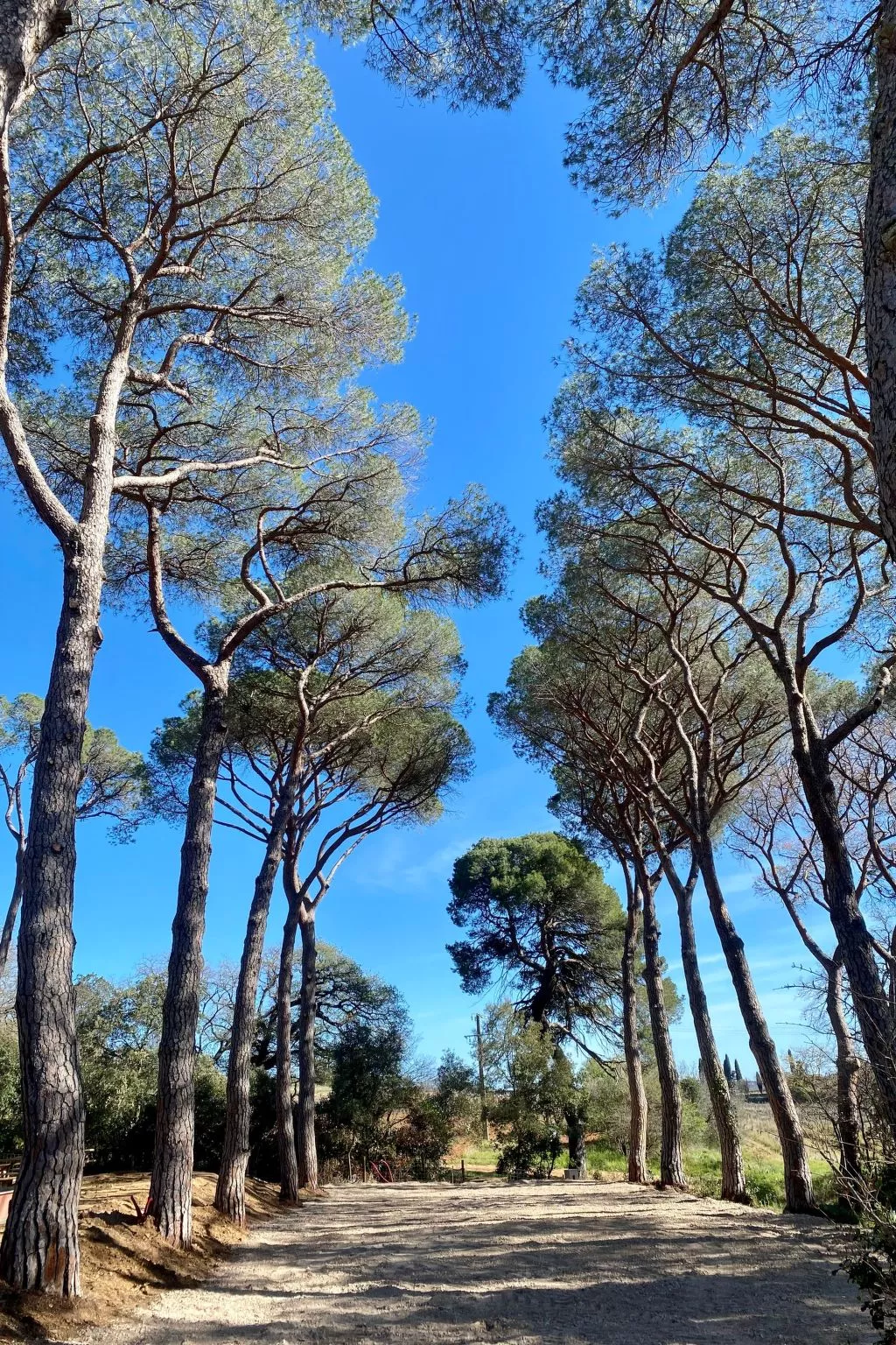 Chez Nerthe, 5-Sterne-Haus mit privatem Jacuzzi