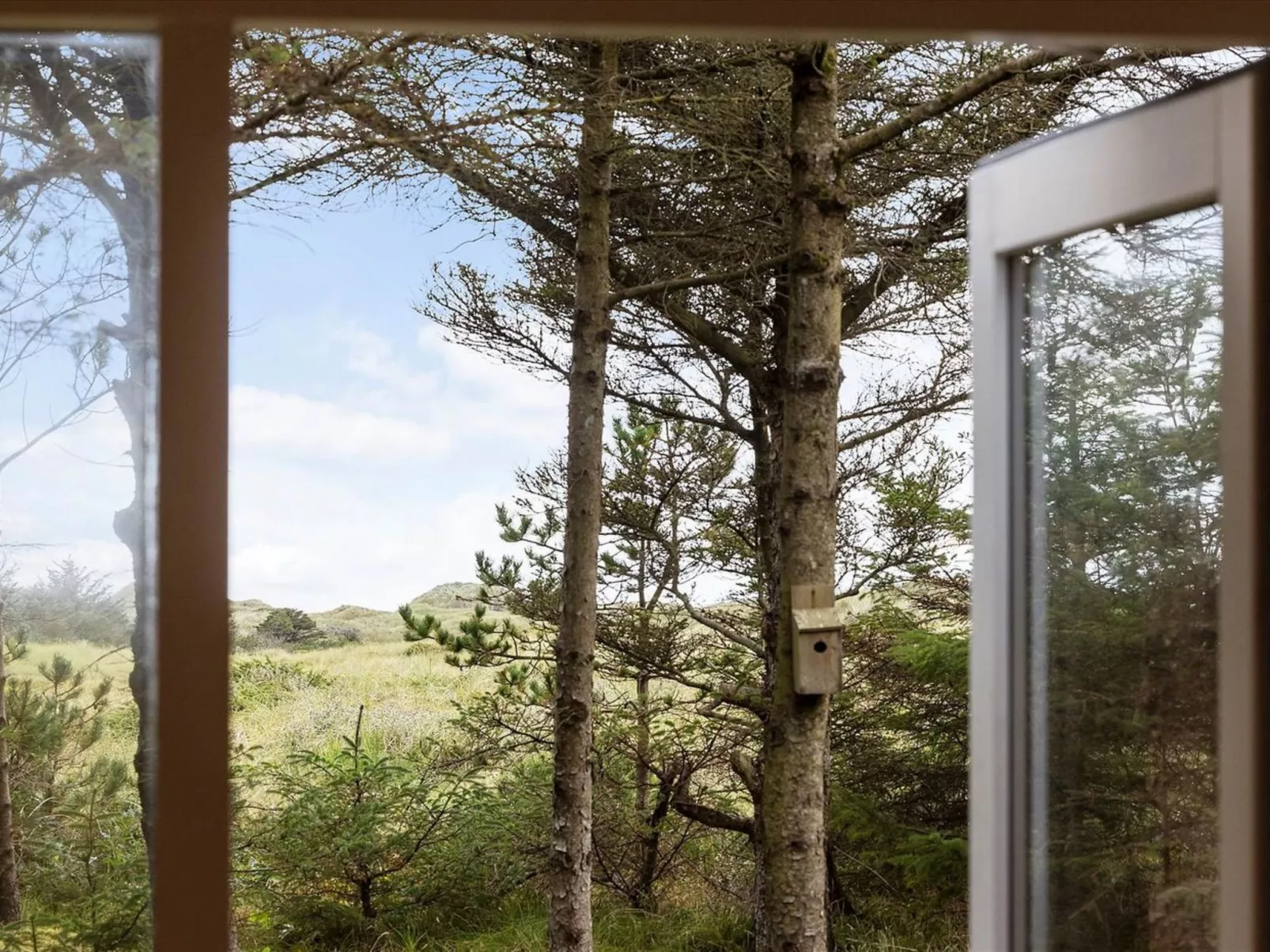 "Patti" - 700m from the sea