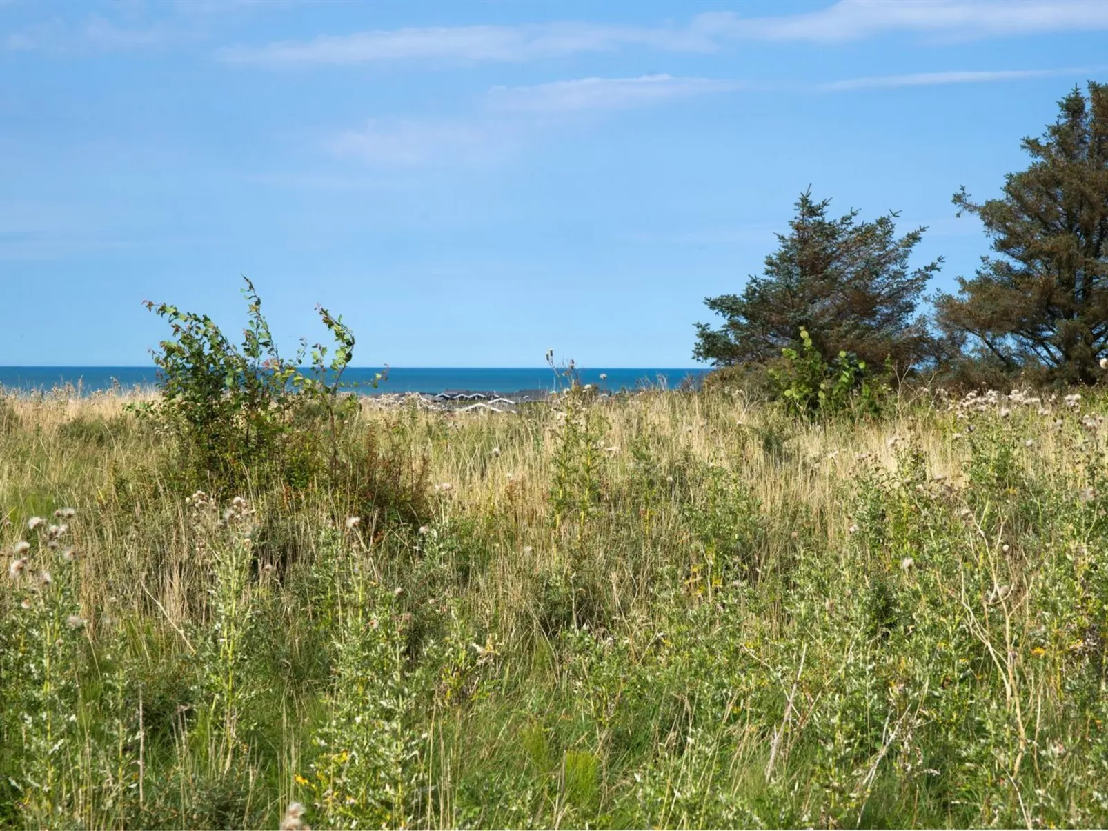 "Eeske" - 1km from the sea