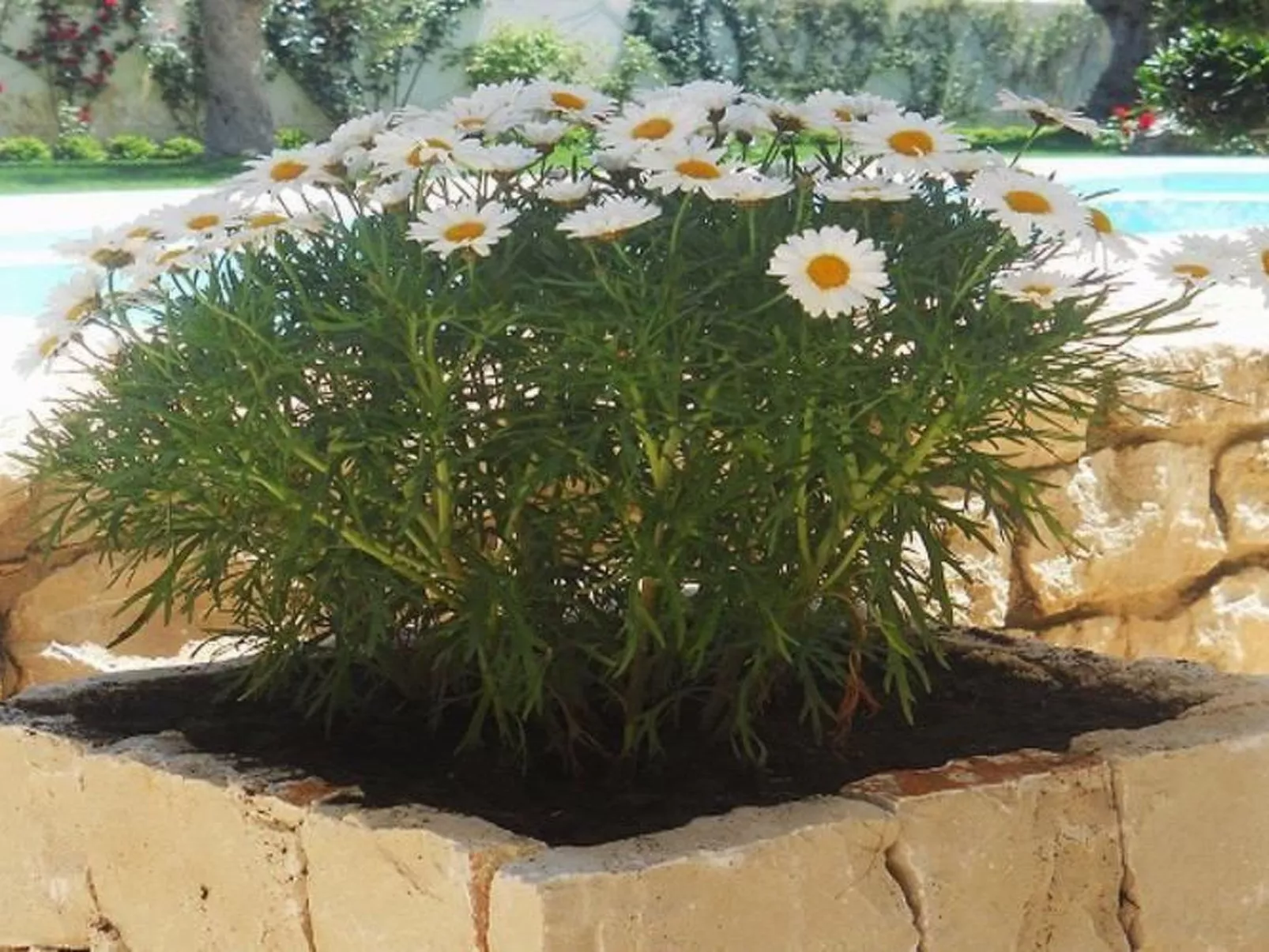 Appartement in Donnalucata mit Großem Garten