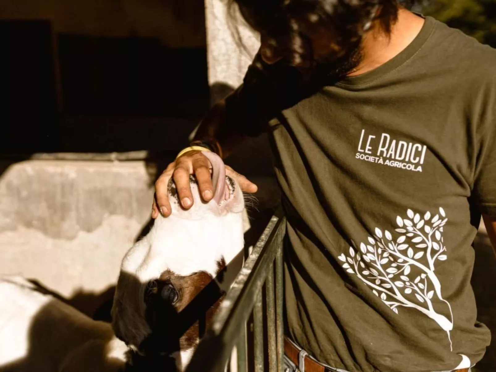 Le Radici - Zafferano - Entspannen im Herzen von Umbrien