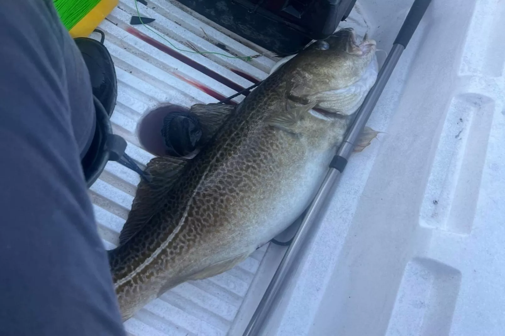 Familieparadijs met uitzicht op meer-By Traum-Niet-getagd