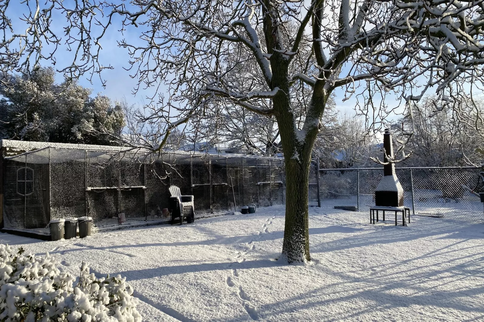 De Herberg-Tuin winter