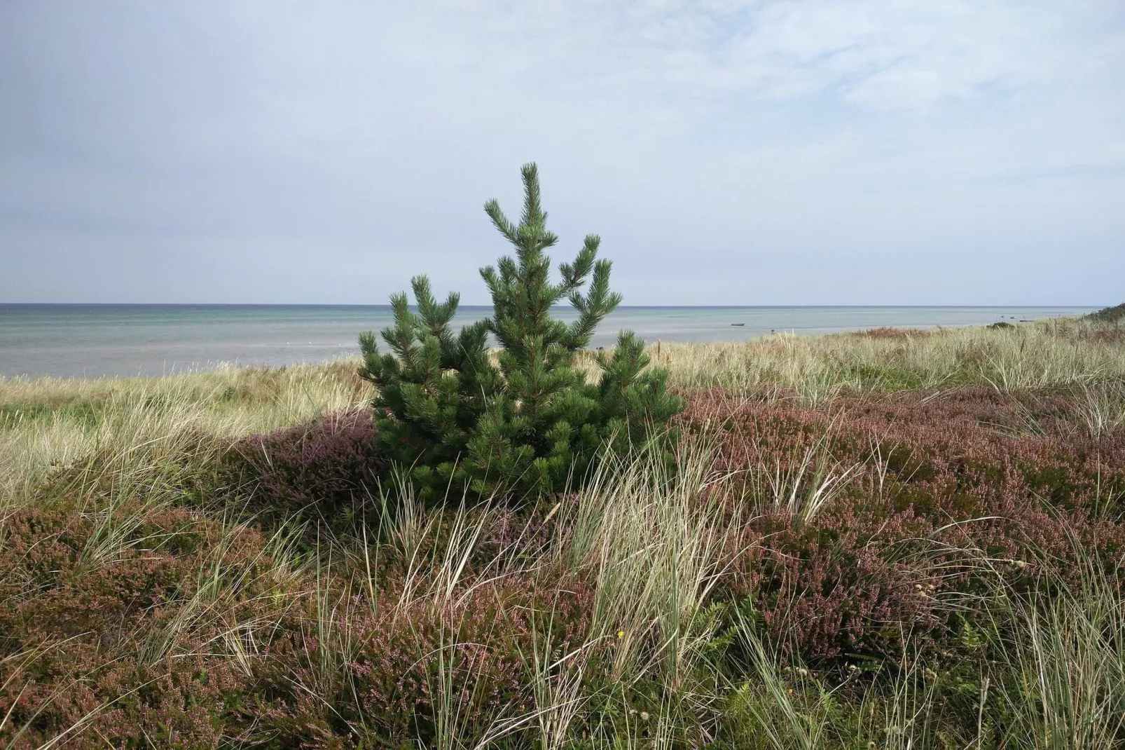 6 persoons vakantie huis in Glesborg-By Traum