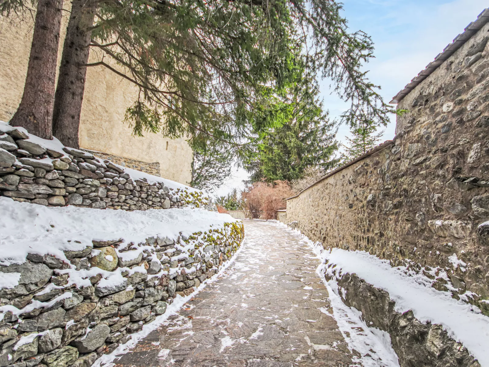 Burg Biedenegg, Pach-Binnen