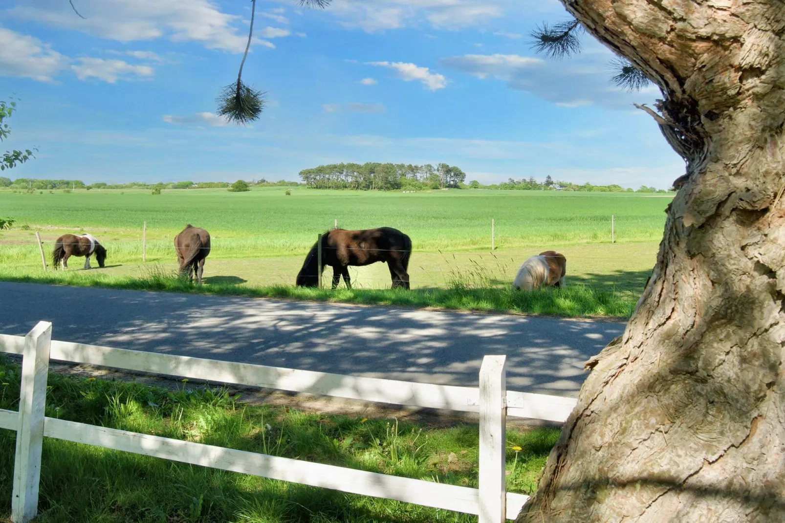 5 persoons vakantie huis in Gilleleje-By Traum
