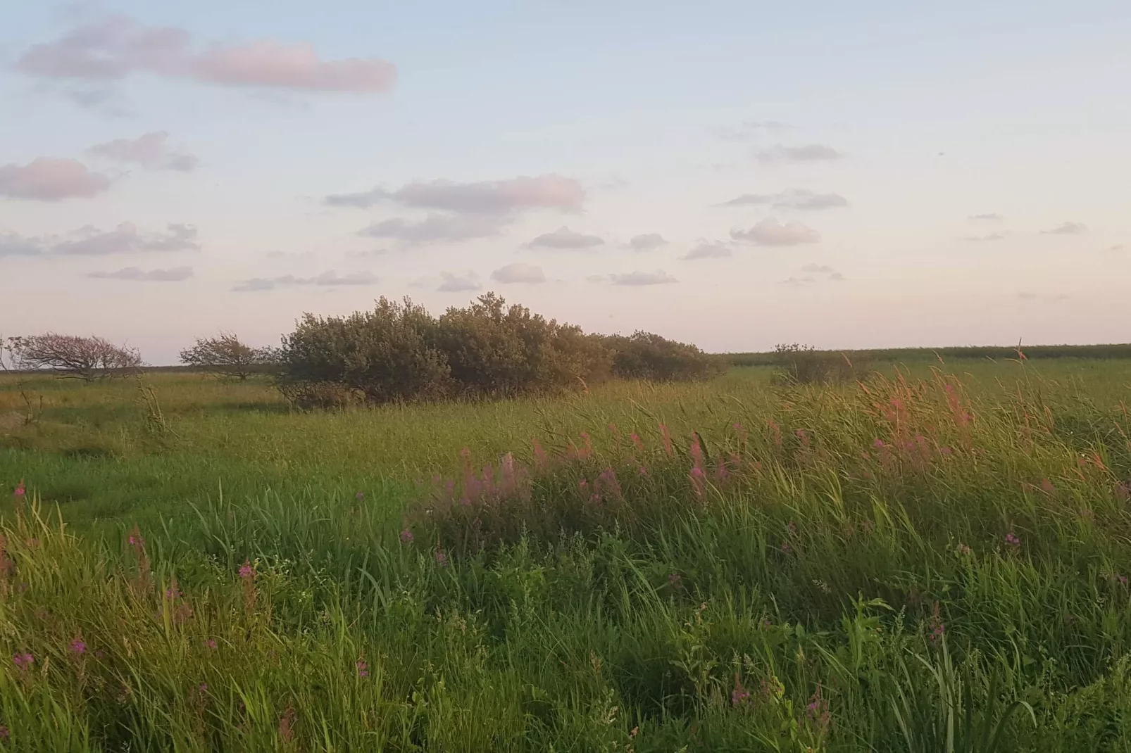 8 persoons vakantie huis in Skjern-By Traum - Niet-getagd