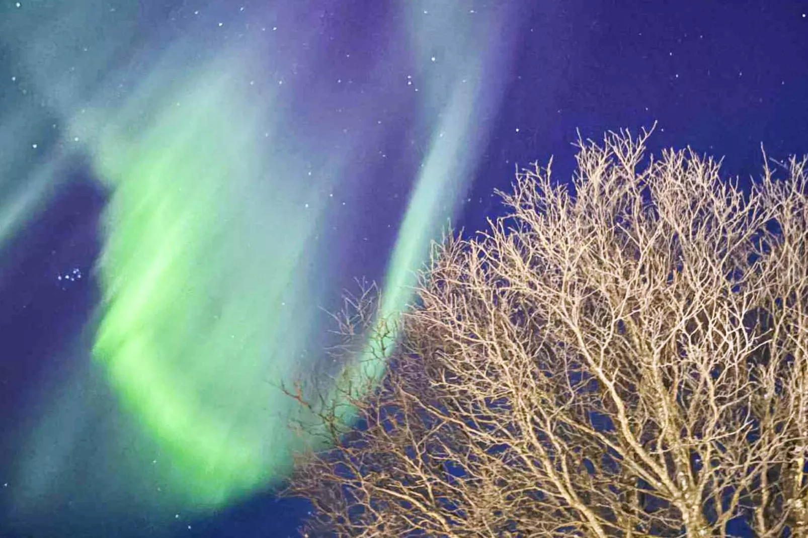 6 Personen vakantie huis in Rebbenes-Buitenlucht