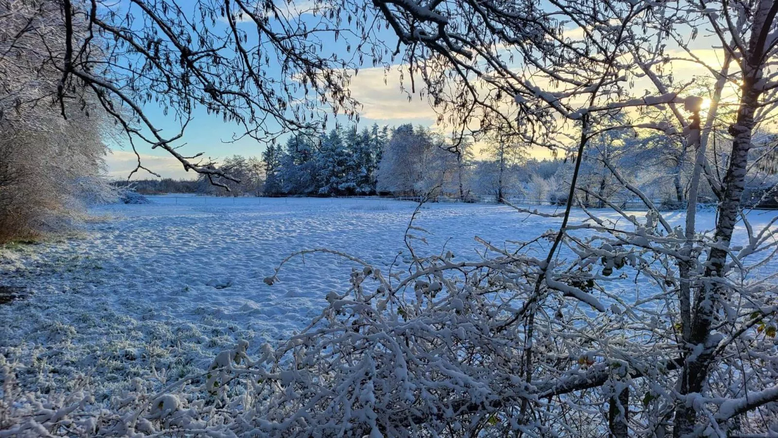 Uilenhof-Gebied winter 1km