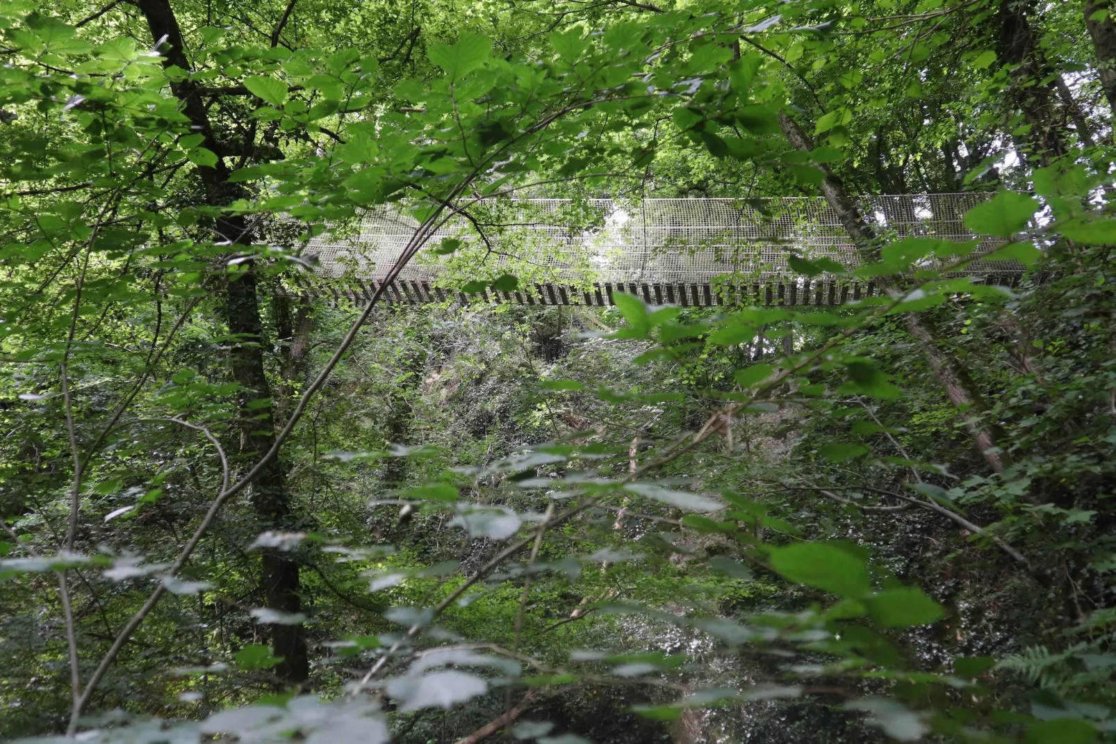 Chalet no 14 - Gebieden zomer 5km