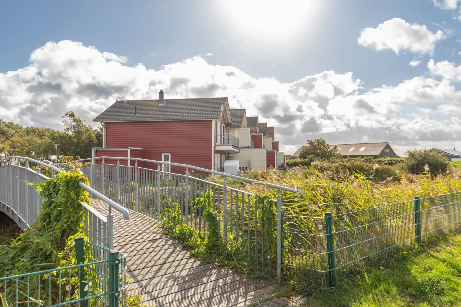 Reihenhaus in Dagebüll - Schimmelreiter