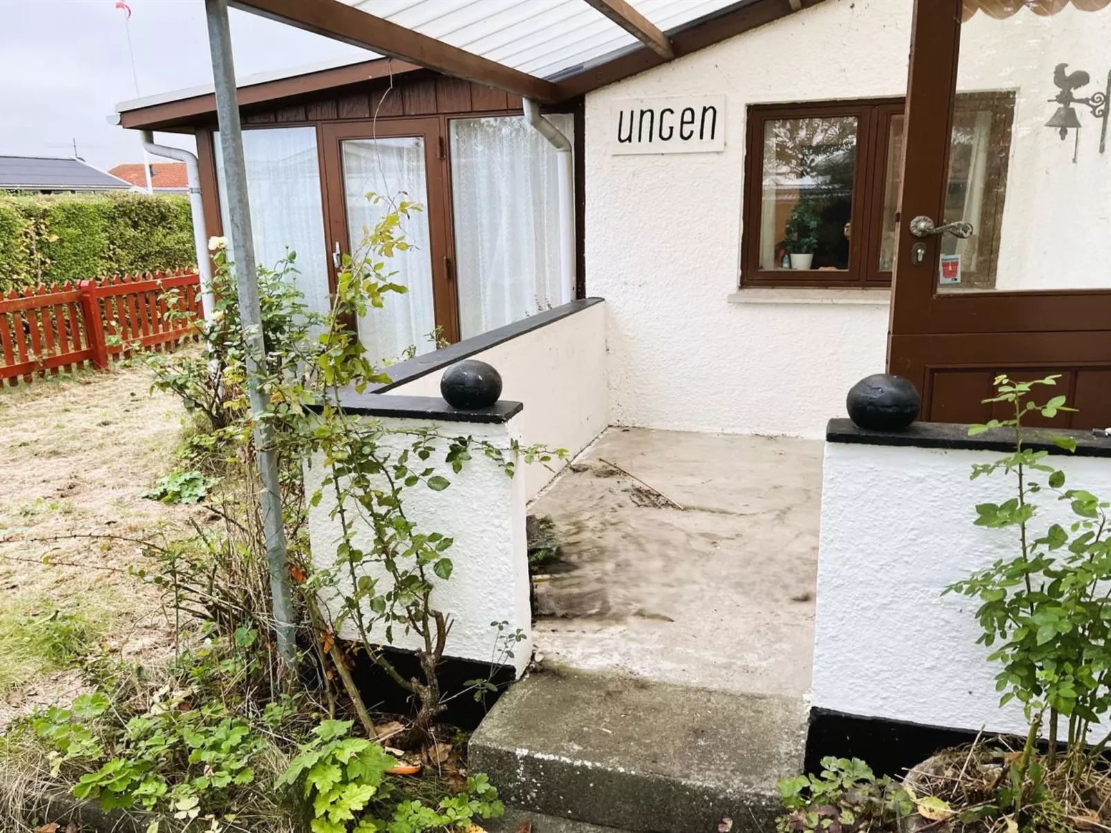 "Ginger" - 50m from the sea