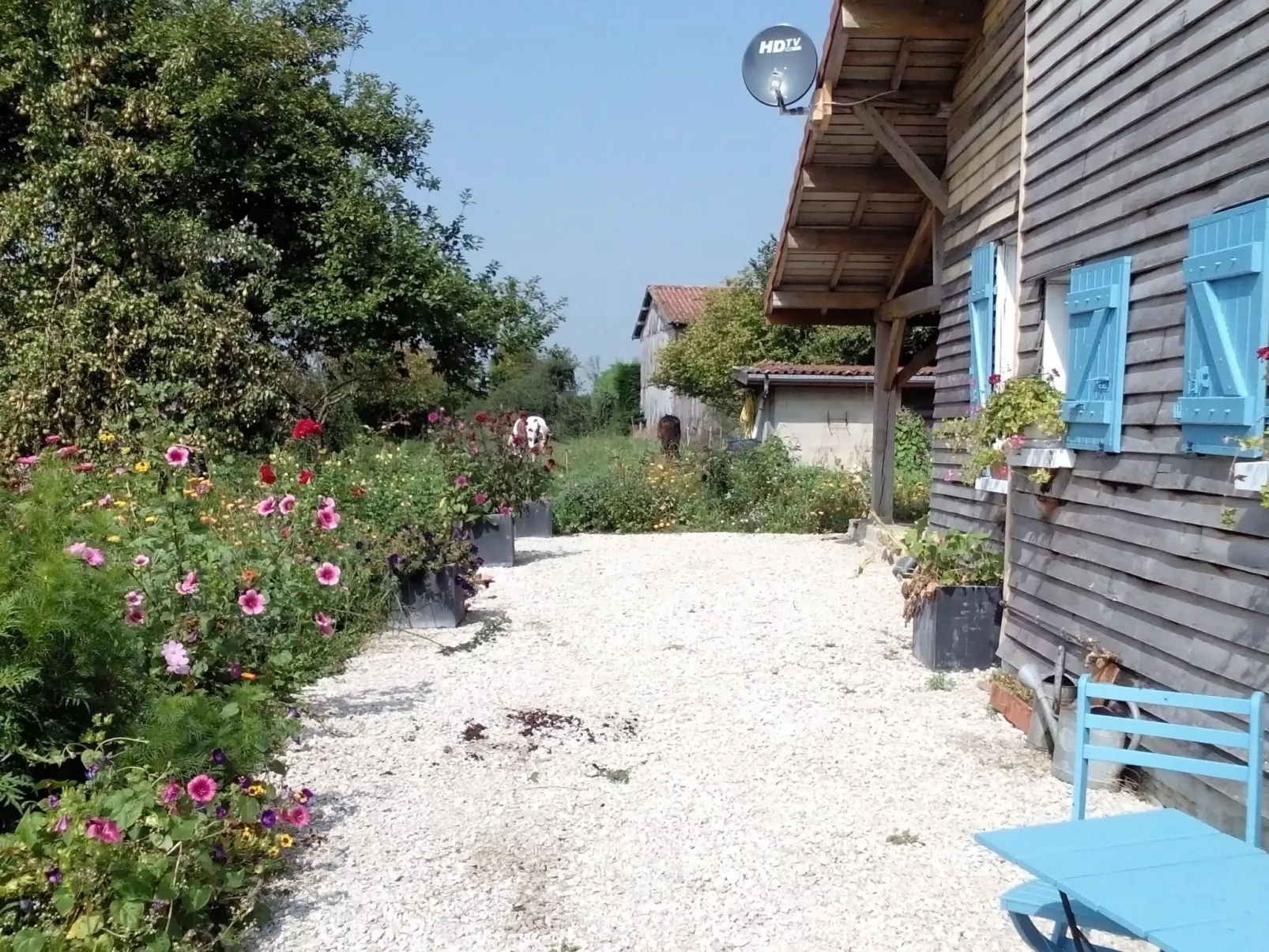 Fachwerkhaus "Charme