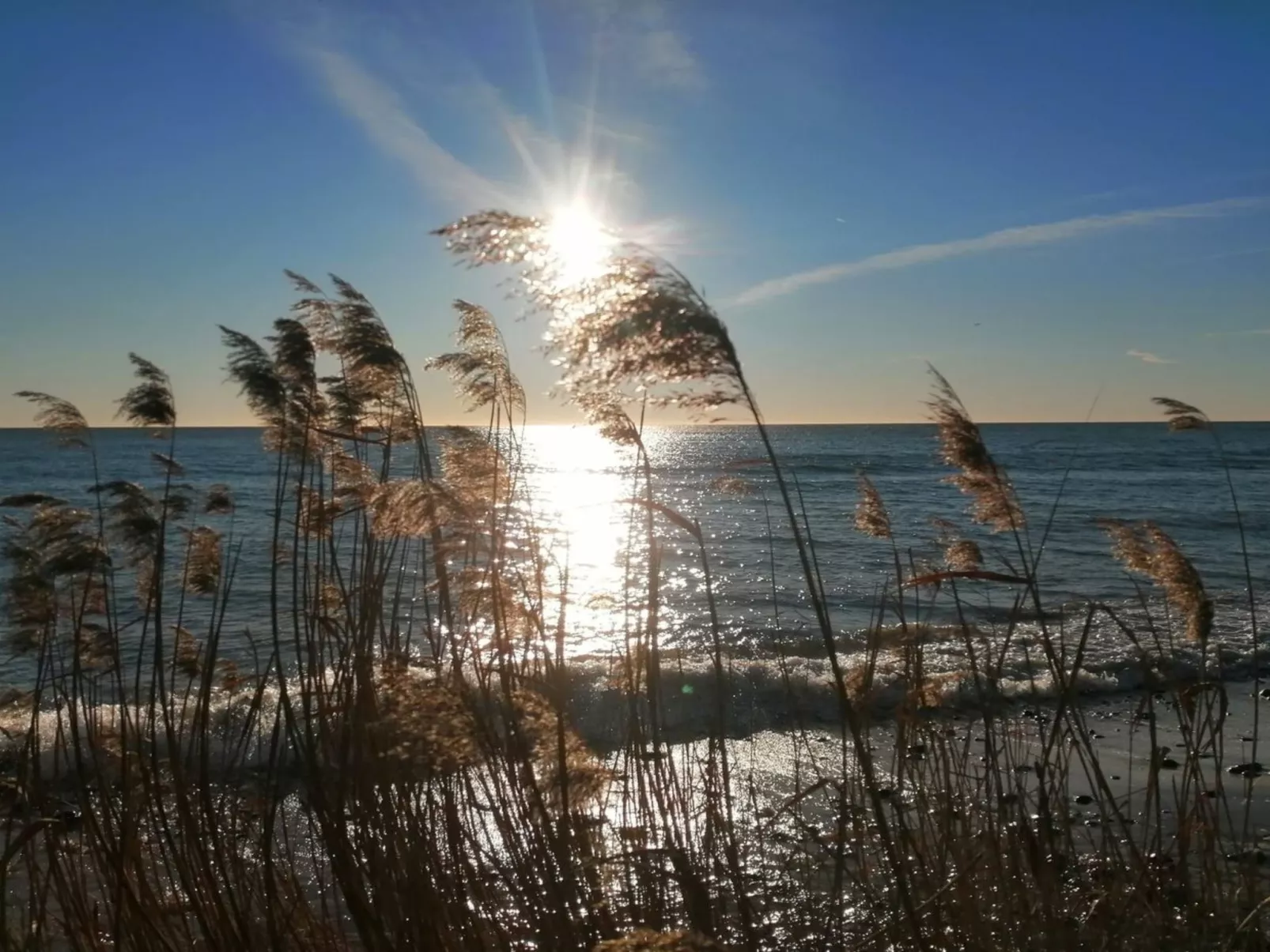 "Selinda" - 250m from the sea