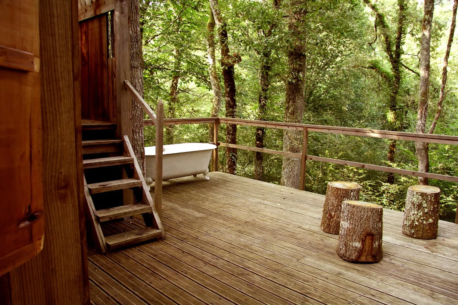 Ecolodge en Sequoia-Terras