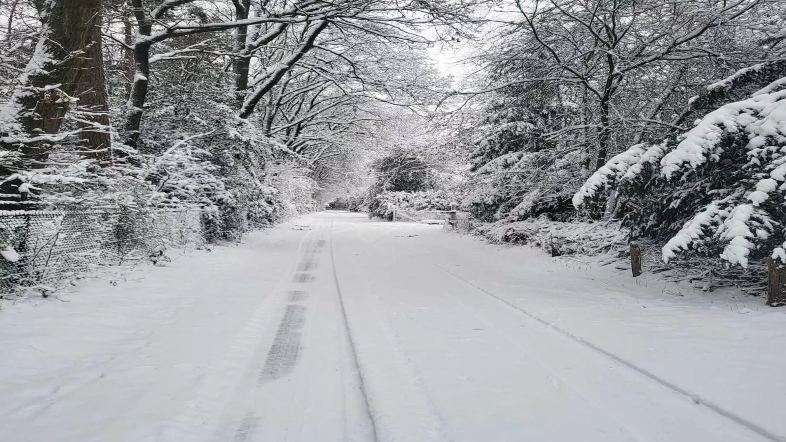 Uilenhof-Gebied winter 1km